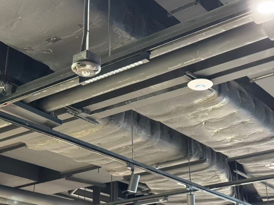 Ceiling access point